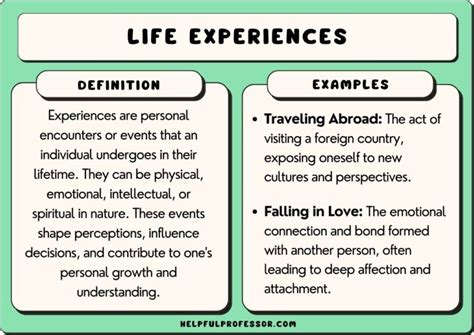 EXPERIENCE Definition & Usage Examples .